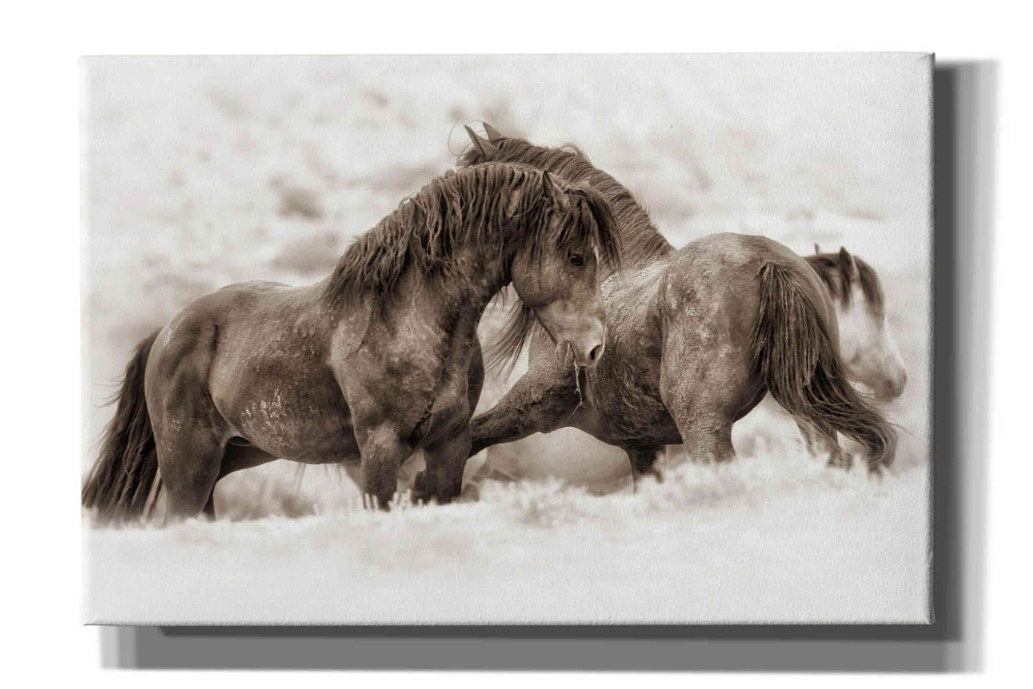'Brothers' by Lisa Dearing, Giclee Canvas Wall Art