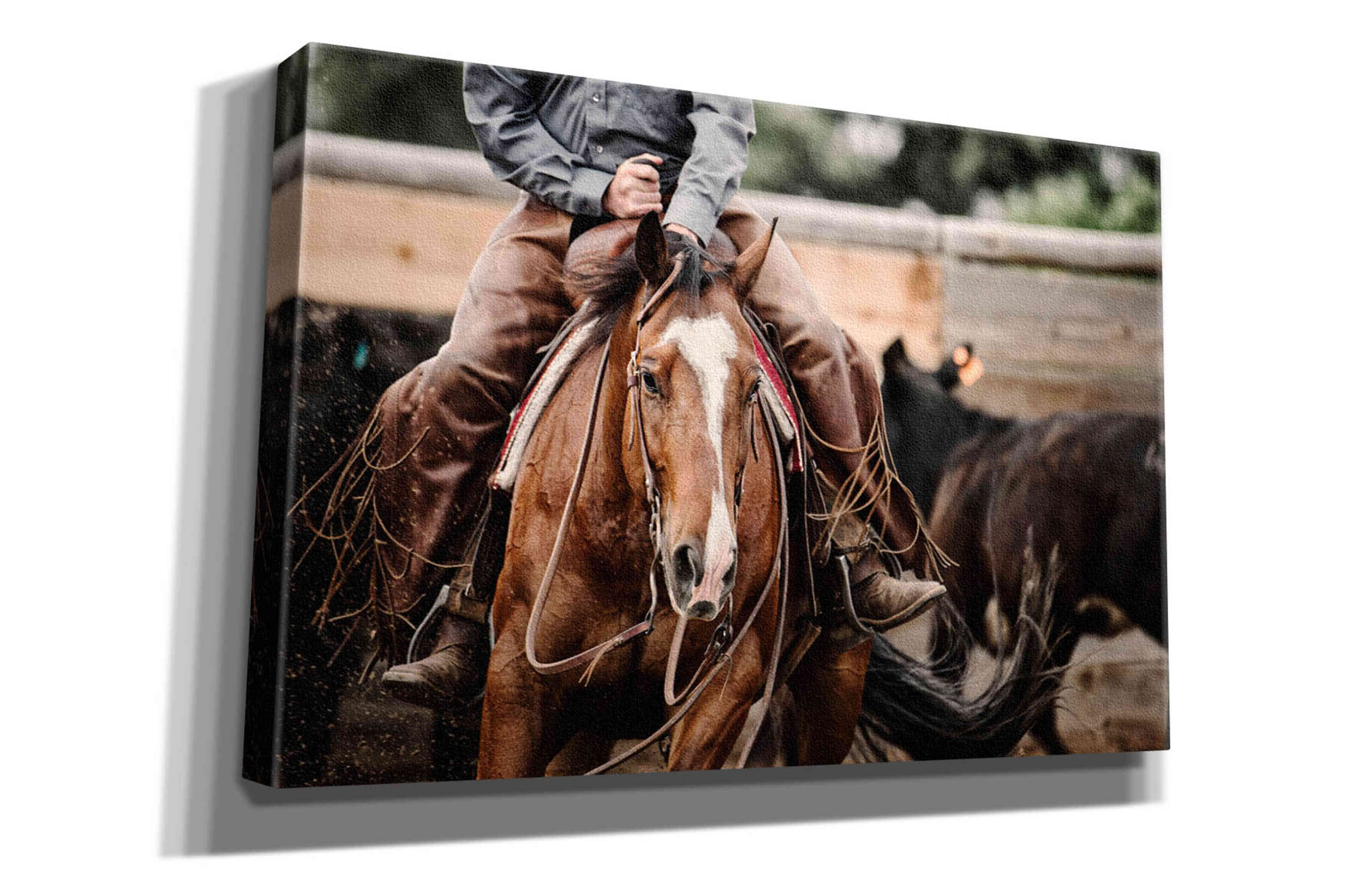 'Cutting Horse' by Lisa Dearing, Giclee Canvas Wall Art