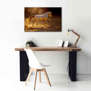 'Dancing In The Light' by Lisa Dearing, Giclee Canvas Wall Art,40x26