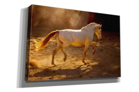 Image of 'Dancing In The Light' by Lisa Dearing, Giclee Canvas Wall Art