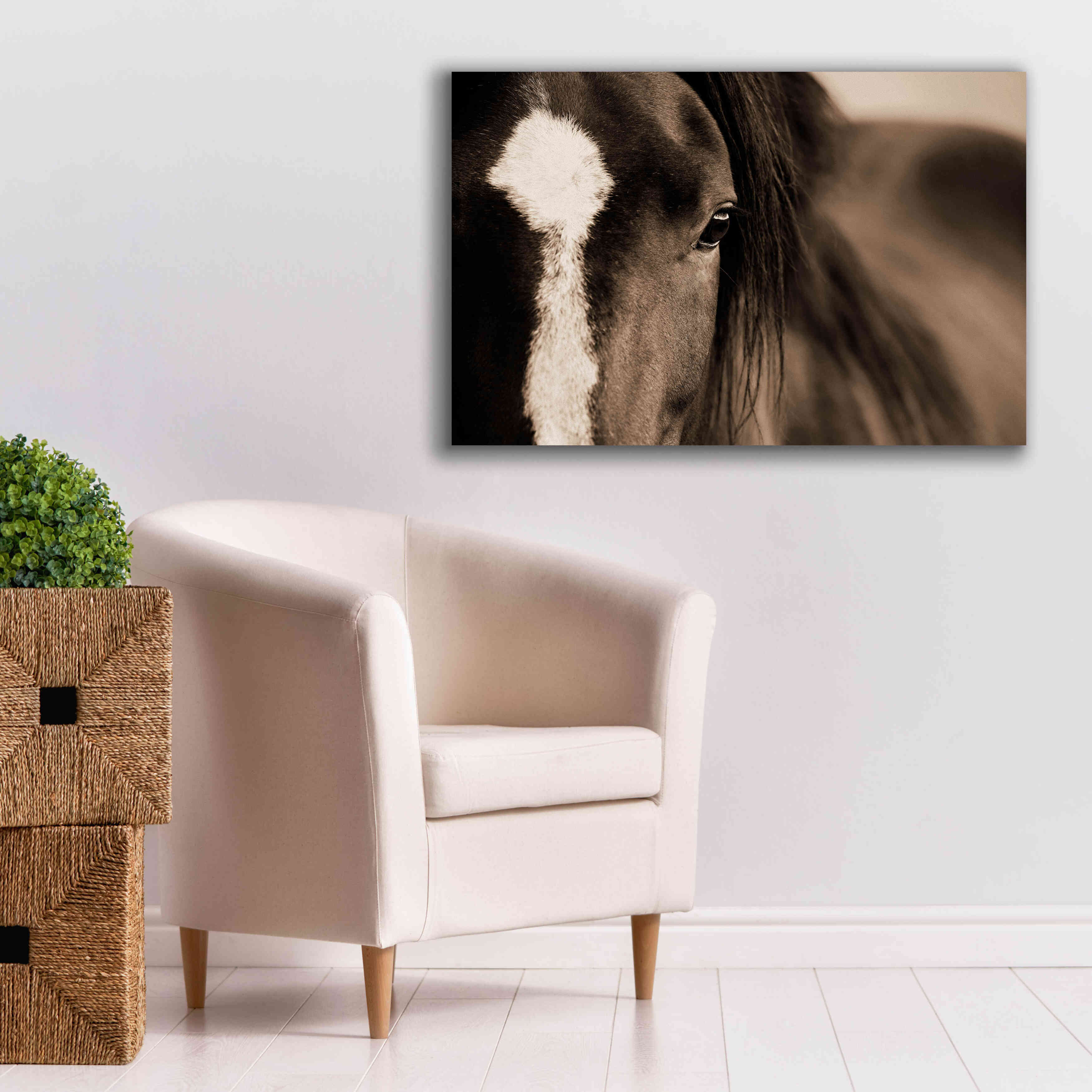 'Dark Eyes' by Lisa Dearing, Giclee Canvas Wall Art,40x26