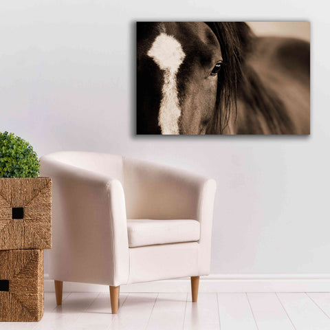Image of 'Dark Eyes' by Lisa Dearing, Giclee Canvas Wall Art,40x26