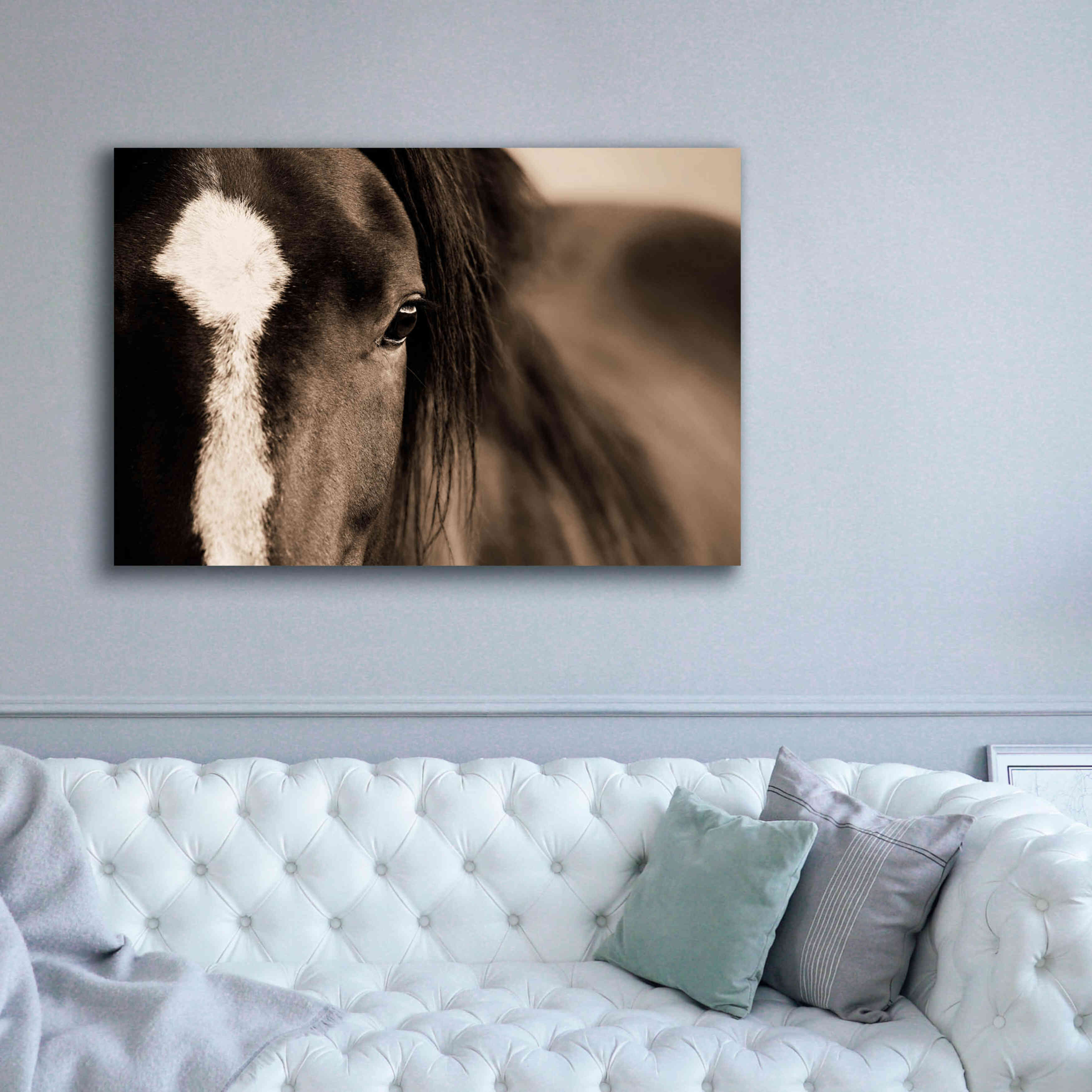 'Dark Eyes' by Lisa Dearing, Giclee Canvas Wall Art,60x40