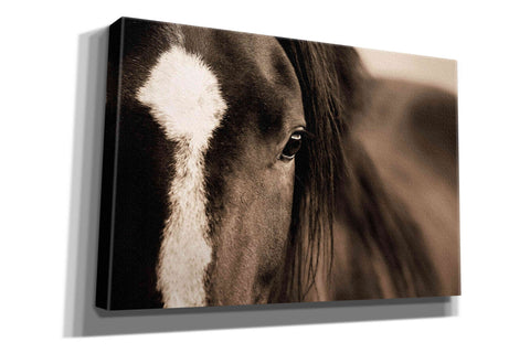 Image of 'Dark Eyes' by Lisa Dearing, Giclee Canvas Wall Art