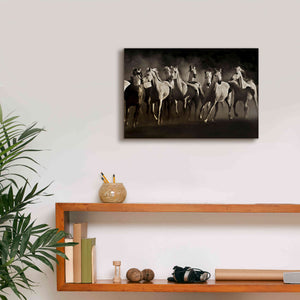 'Dream Horses' by Lisa Dearing, Giclee Canvas Wall Art,18x12