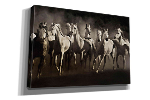 Image of 'Dream Horses' by Lisa Dearing, Giclee Canvas Wall Art