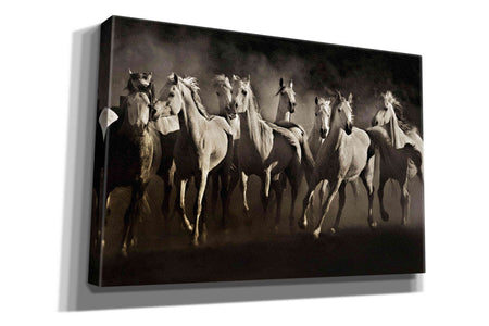 'Dream Horses' by Lisa Dearing, Giclee Canvas Wall Art
