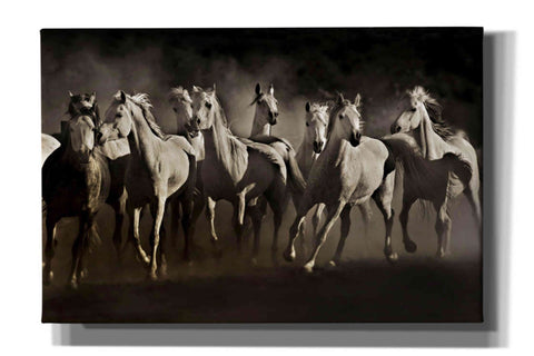 Image of 'Dream Horses' by Lisa Dearing, Giclee Canvas Wall Art