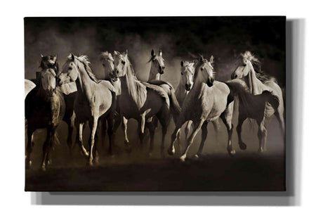 'Dream Horses' by Lisa Dearing, Giclee Canvas Wall Art