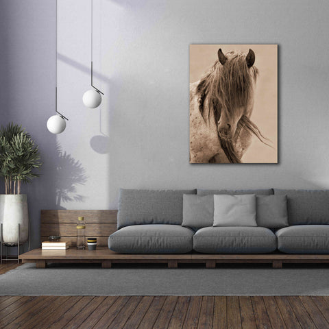 Image of 'Freedom' by Lisa Dearing, Giclee Canvas Wall Art,40x54