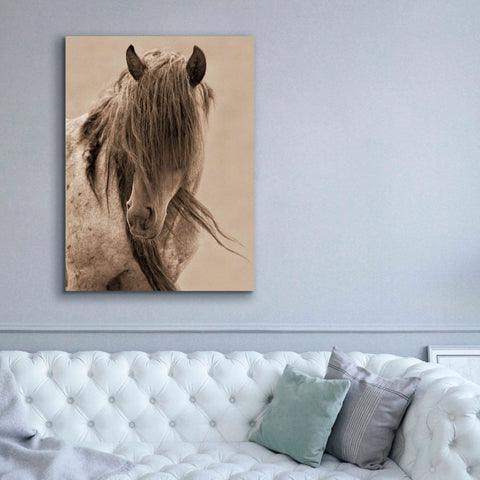 Image of 'Freedom' by Lisa Dearing, Giclee Canvas Wall Art,40x54