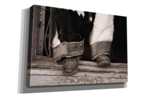 Image of 'Furry Chaps' by Lisa Dearing, Giclee Canvas Wall Art