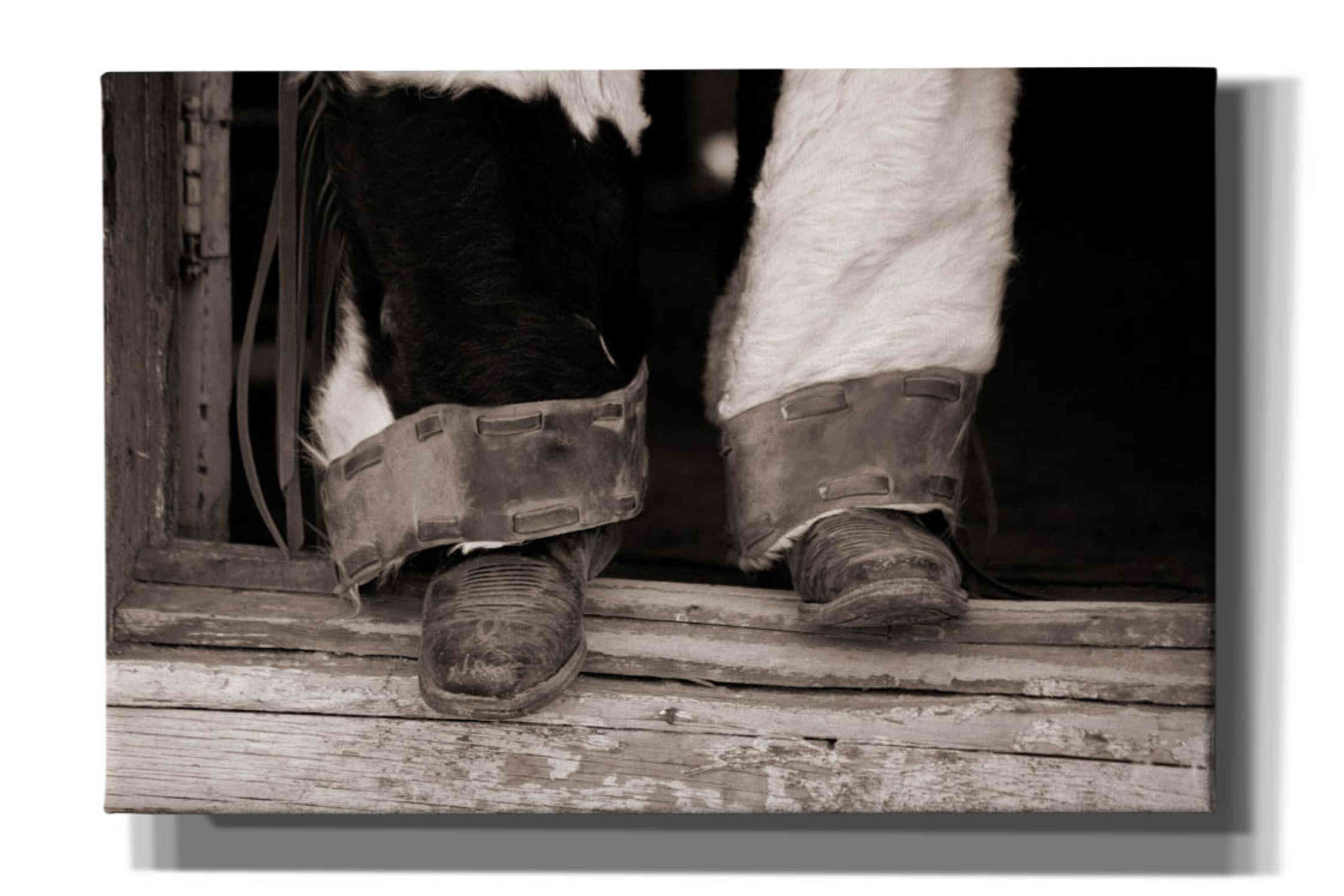 'Furry Chaps' by Lisa Dearing, Giclee Canvas Wall Art