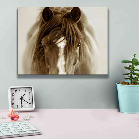 Image of 'Ghost Horse' by Lisa Dearing, Giclee Canvas Wall Art,16x12