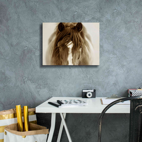 Image of 'Ghost Horse' by Lisa Dearing, Giclee Canvas Wall Art,16x12