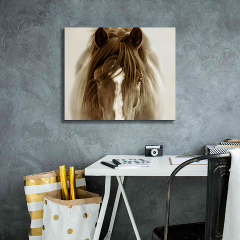 Image of 'Ghost Horse' by Lisa Dearing, Giclee Canvas Wall Art,24x20
