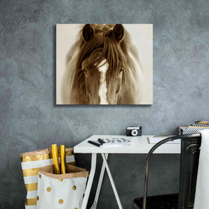 'Ghost Horse' by Lisa Dearing, Giclee Canvas Wall Art,24x20