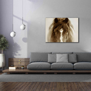 'Ghost Horse' by Lisa Dearing, Giclee Canvas Wall Art,54x40