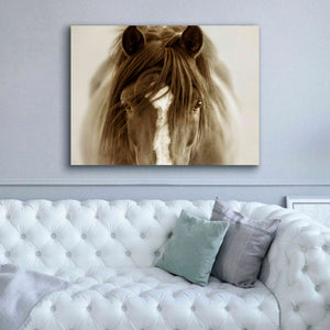'Ghost Horse' by Lisa Dearing, Giclee Canvas Wall Art,54x40