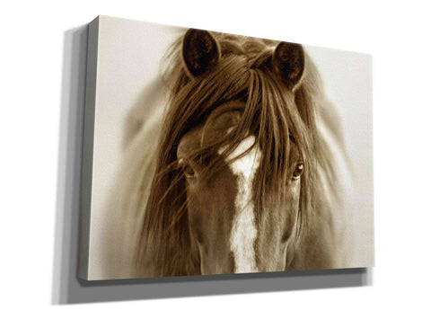Image of 'Ghost Horse' by Lisa Dearing, Giclee Canvas Wall Art