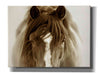 'Ghost Horse' by Lisa Dearing, Giclee Canvas Wall Art