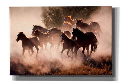 Image of 'Horses' by Lisa Dearing, Giclee Canvas Wall Art