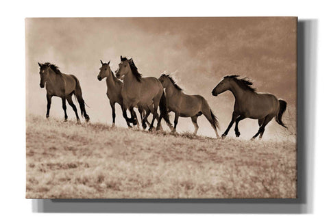 Image of 'Kicking Dust' by Lisa Dearing, Giclee Canvas Wall Art