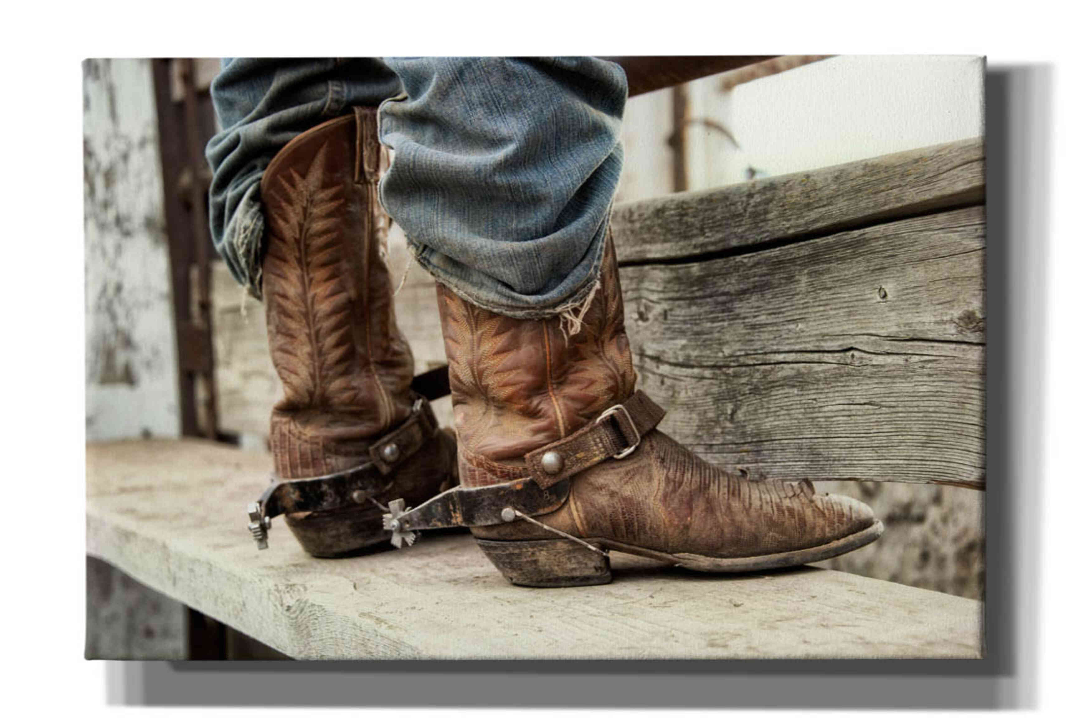 'Like a Second Skin' by Lisa Dearing, Giclee Canvas Wall Art