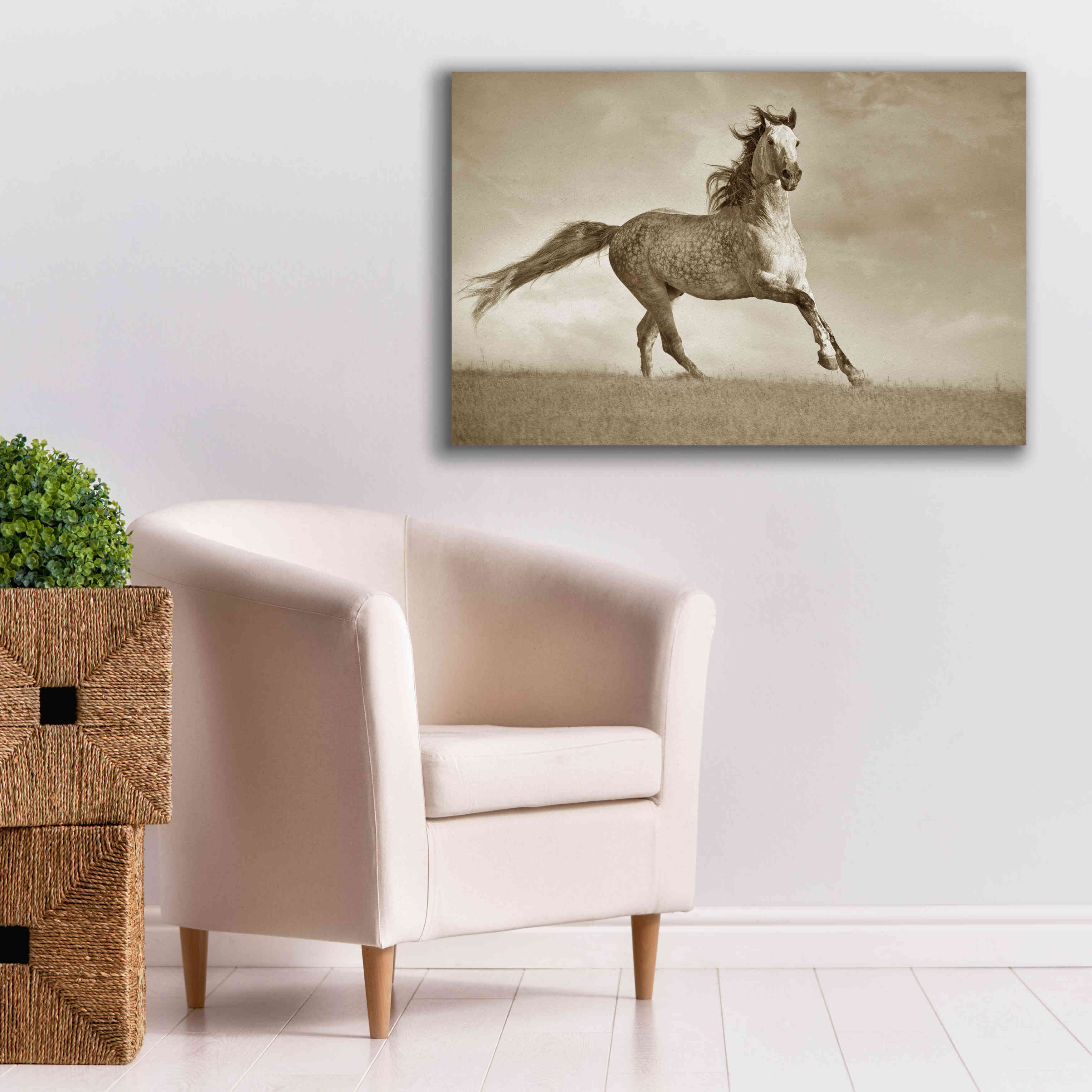 'Like the Wind' by Lisa Dearing, Giclee Canvas Wall Art,40x26