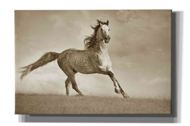 'Like the Wind' by Lisa Dearing, Giclee Canvas Wall Art