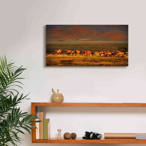 Image of 'Montana Dreaming' by Lisa Dearing, Giclee Canvas Wall Art,24x12