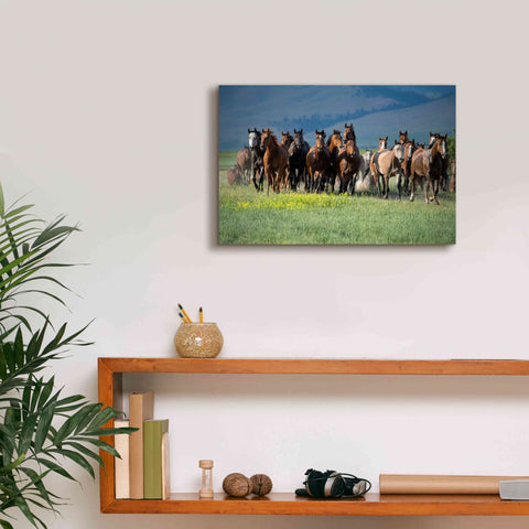 Image of 'Montana Thunder' by Lisa Dearing, Giclee Canvas Wall Art,18x12