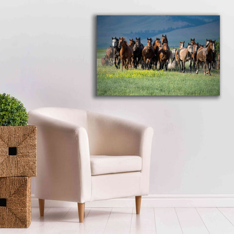 Image of 'Montana Thunder' by Lisa Dearing, Giclee Canvas Wall Art,40x26