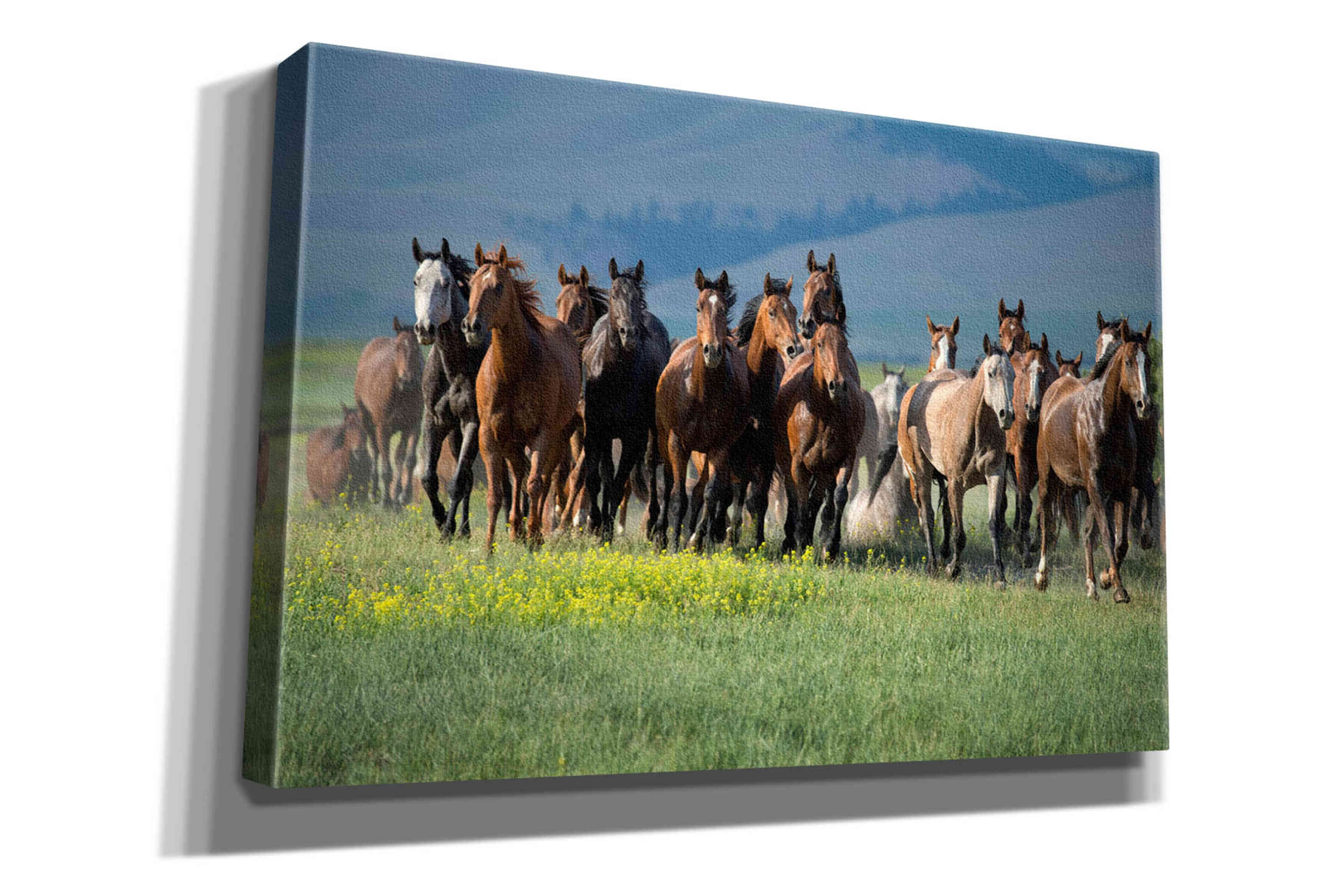 'Montana Thunder' by Lisa Dearing, Giclee Canvas Wall Art