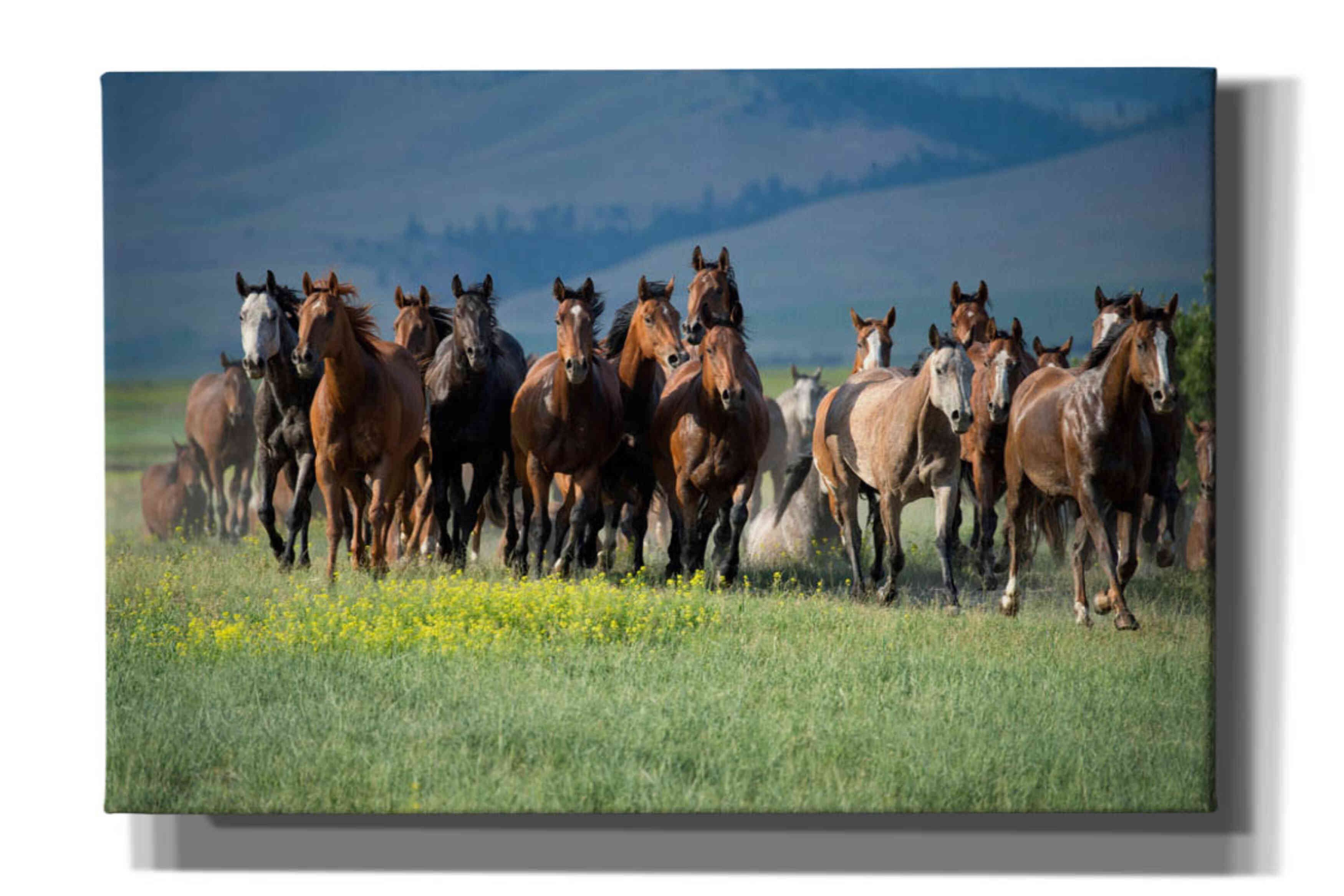 'Montana Thunder' by Lisa Dearing, Giclee Canvas Wall Art