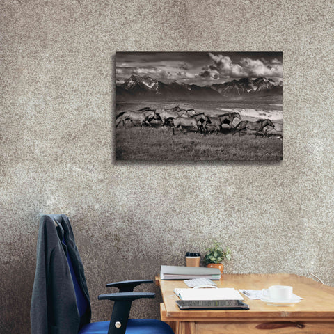Image of 'Mountain Range Mavericks' by Lisa Dearing, Giclee Canvas Wall Art,40x26