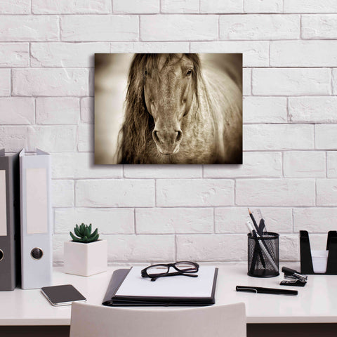 Image of 'Mustang Sally' by Lisa Dearing, Giclee Canvas Wall Art,16x12