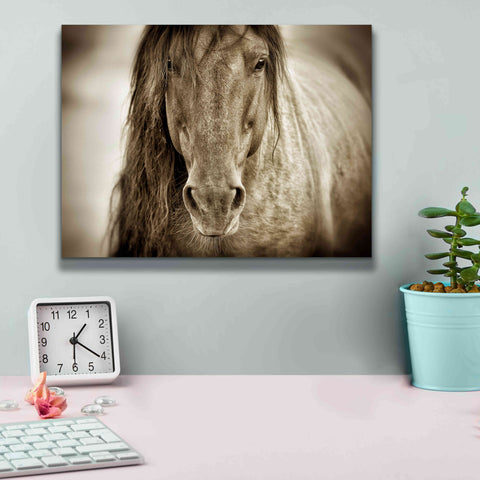 Image of 'Mustang Sally' by Lisa Dearing, Giclee Canvas Wall Art,16x12