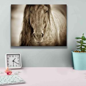 'Mustang Sally' by Lisa Dearing, Giclee Canvas Wall Art,16x12