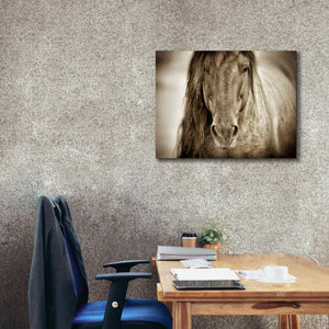 'Mustang Sally' by Lisa Dearing, Giclee Canvas Wall Art,34x26