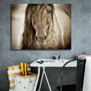 'Mustang Sally' by Lisa Dearing, Giclee Canvas Wall Art,34x26