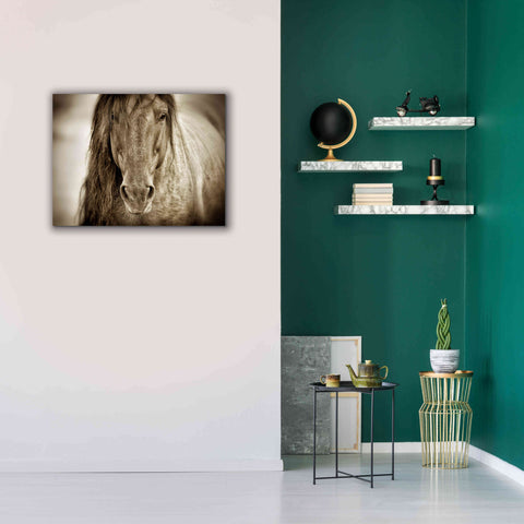 Image of 'Mustang Sally' by Lisa Dearing, Giclee Canvas Wall Art,34x26