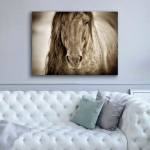 'Mustang Sally' by Lisa Dearing, Giclee Canvas Wall Art,54x40