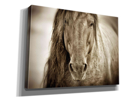 Image of 'Mustang Sally' by Lisa Dearing, Giclee Canvas Wall Art
