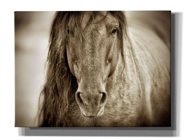 'Mustang Sally' by Lisa Dearing, Giclee Canvas Wall Art