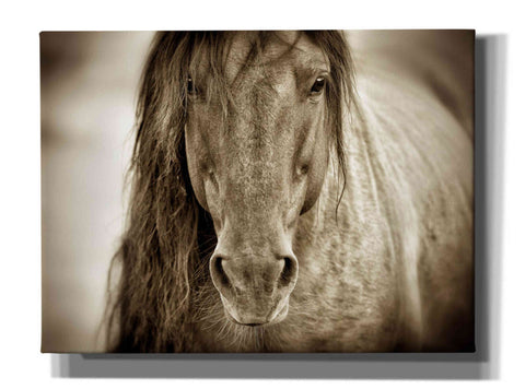 Image of 'Mustang Sally' by Lisa Dearing, Giclee Canvas Wall Art