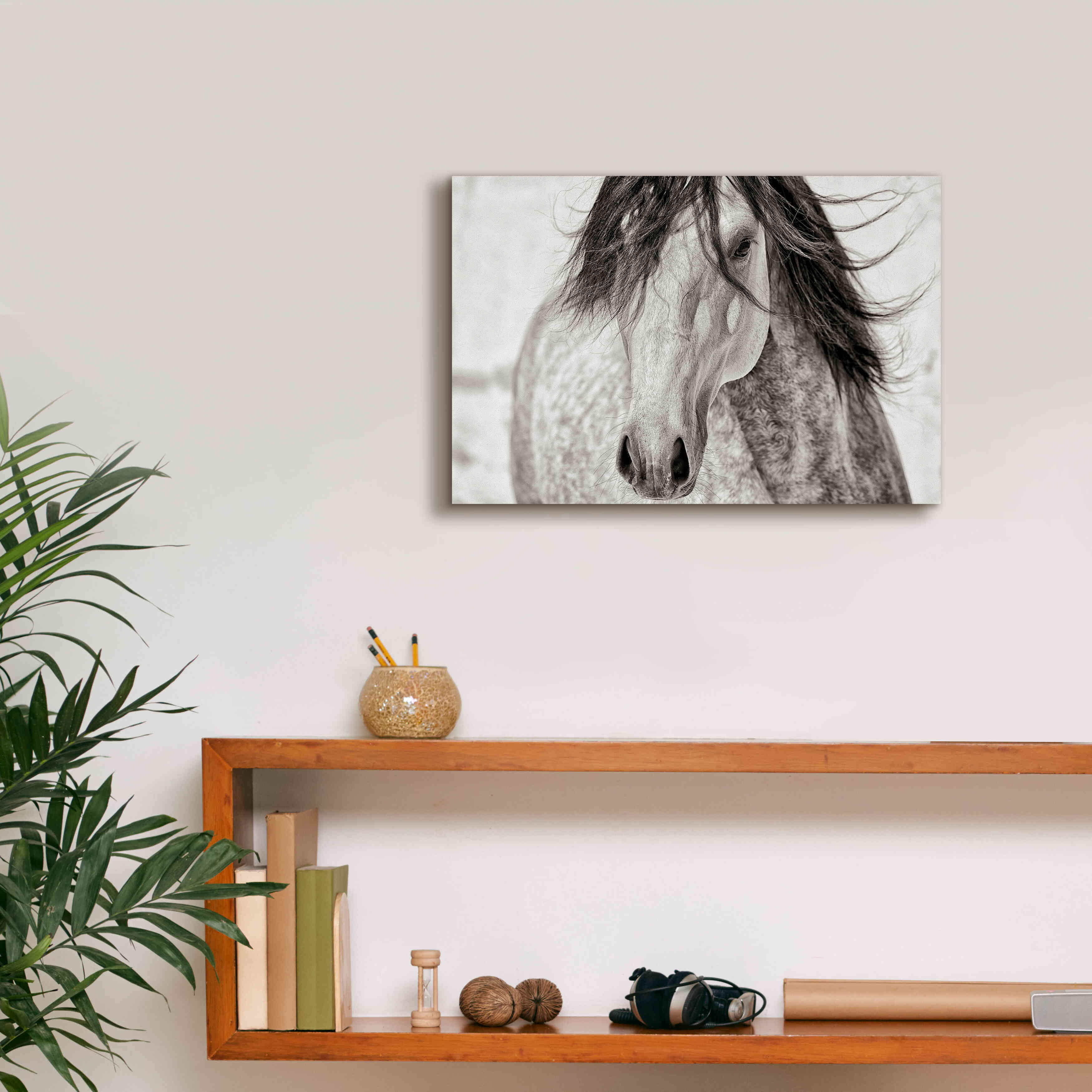 'My Beautiful Mane' by Lisa Dearing, Giclee Canvas Wall Art,18x12