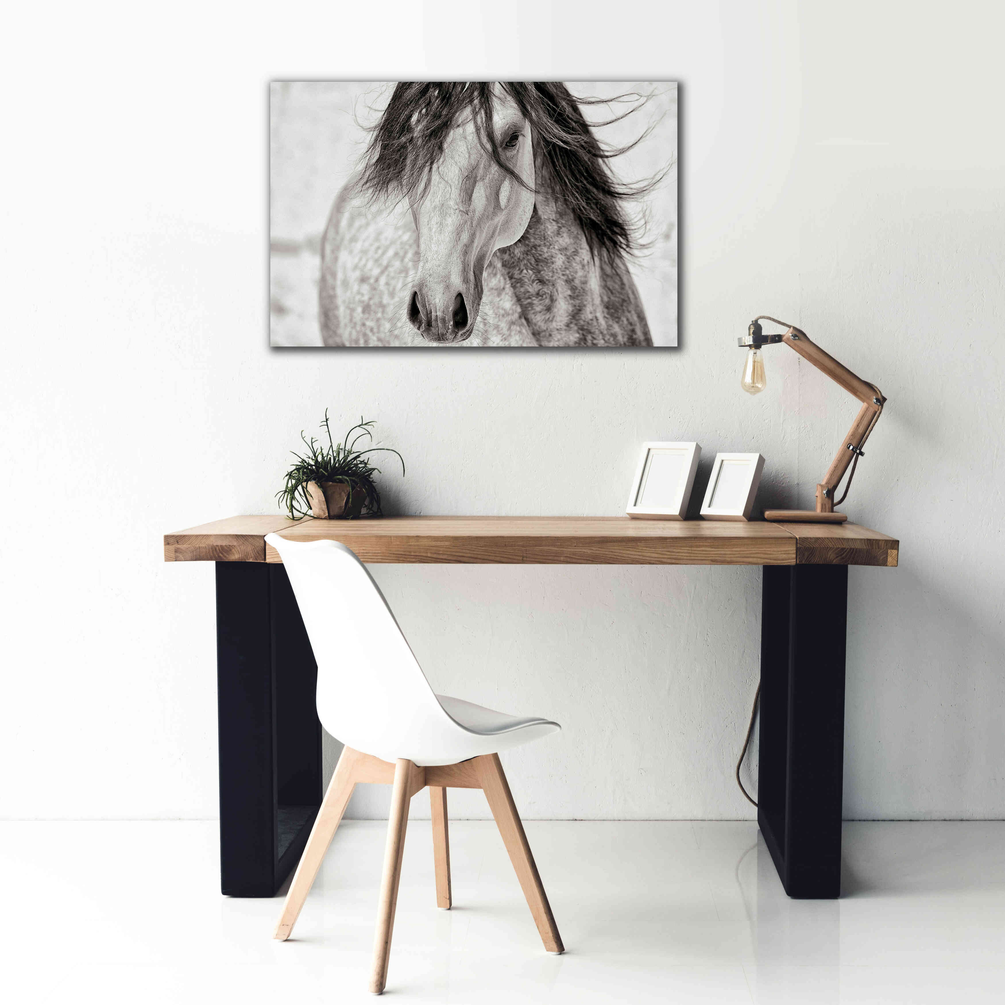 'My Beautiful Mane' by Lisa Dearing, Giclee Canvas Wall Art,40x26