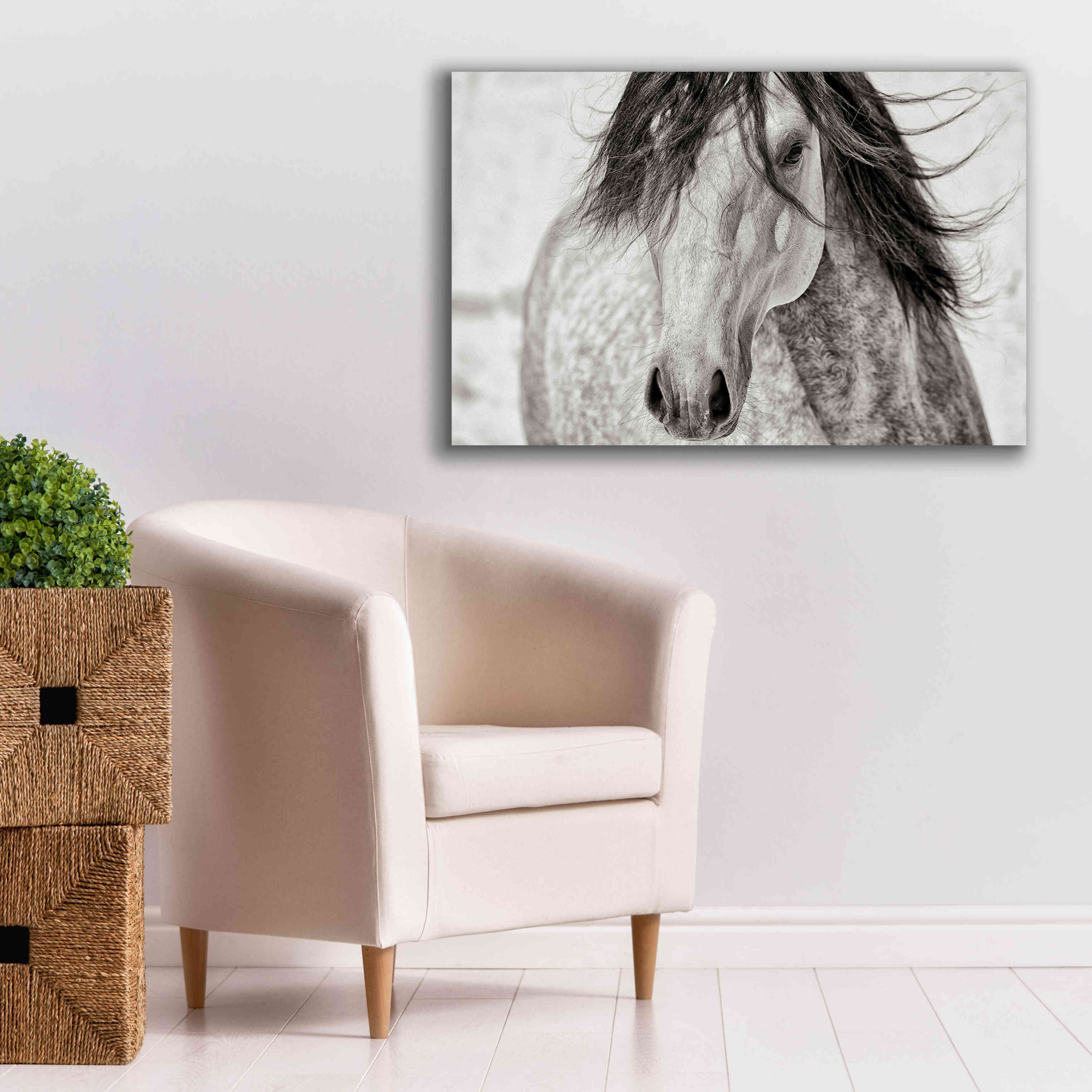 'My Beautiful Mane' by Lisa Dearing, Giclee Canvas Wall Art,40x26