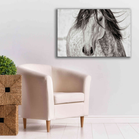 Image of 'My Beautiful Mane' by Lisa Dearing, Giclee Canvas Wall Art,40x26